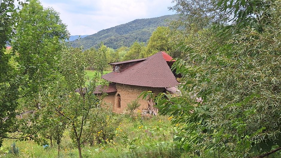 VANZARE ANSAMBLU CASUTE BRADULET ARGES - Poză 4