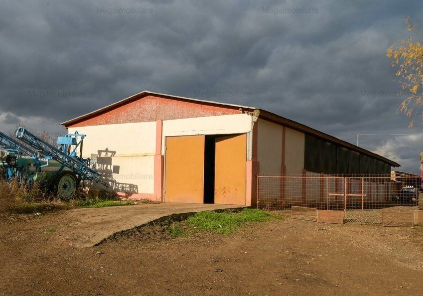 Vanzare ferma agricola Negru Voda - Constanta cu 240 hectare teren si utilaje - Poză 15