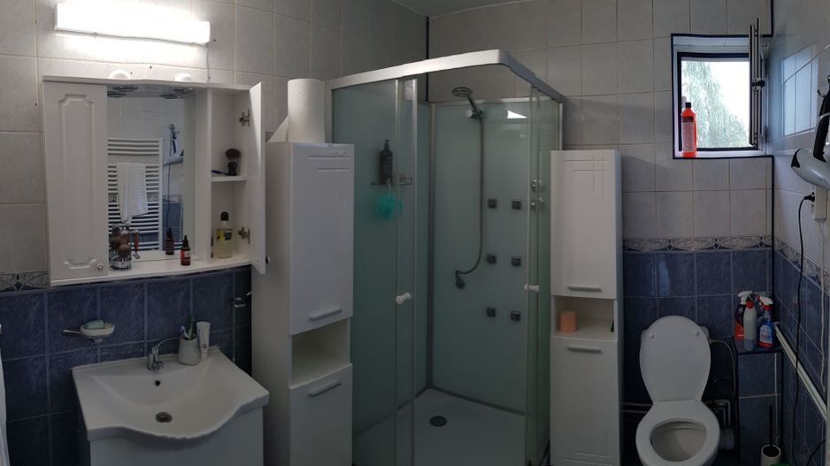 Vila spatioasa Bucurestii Noi | 2 Cocoși - Poză 17