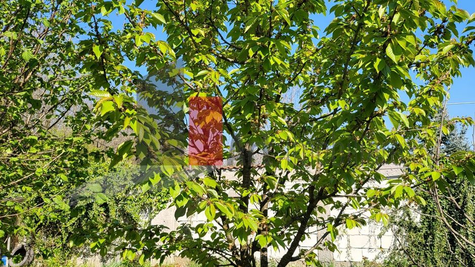 Silistea Snagovului | Casa de vis | Locatia de vis - Poză 11