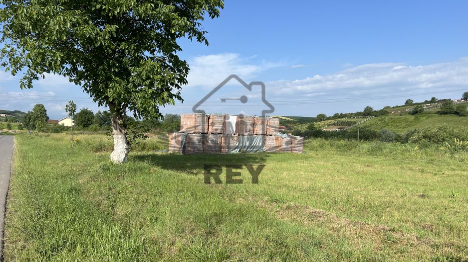 Teren de vanzare pretabil Casă single/duplex/triplex/hală - Poză 5