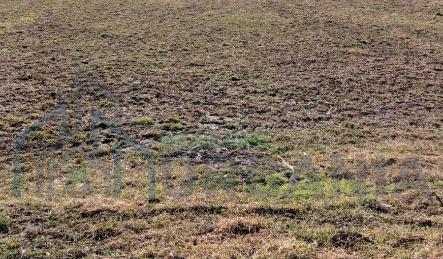 Teren intravilan de vanzare - Poză 1