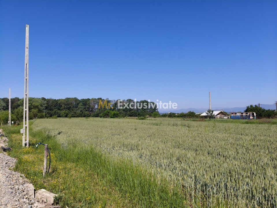 Teren 10.294 mp de vânzare Târgu Jiu | Intravilan + Extravilan | Utilități - Poză 3