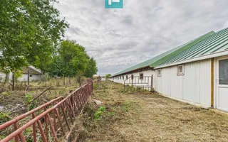 Hală pentru producție / fermă zootehnică  - Variaș - Poză 19