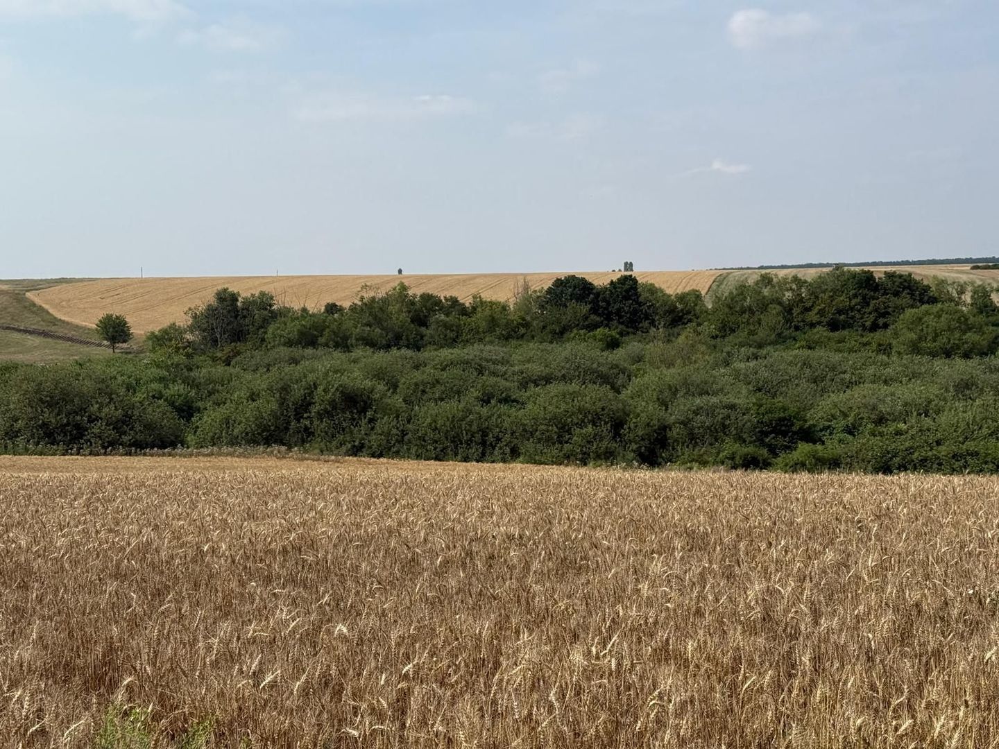 Teren intravilan Miersig, vedere la lac. 12,5 E/mp neg. Comision 0 - Poză 12