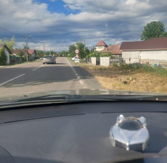 Teren 3.000 mp la principală în Telești | 30.000€ | Comision 0% - Poză 2