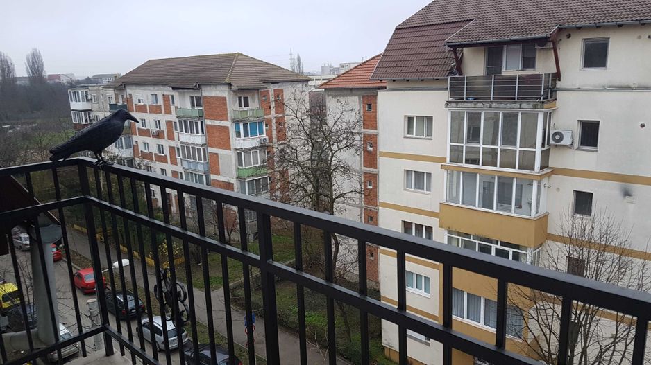Apartament modern cu 3 camere de închiriat – la 5 minute de Iulius Mal - Poză 5