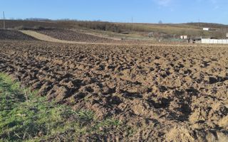 TEREN INTRAVILAN | LOCALITATEA LIVADA, COMUNA ICLOD, JUD. CLUJ - Poză 1