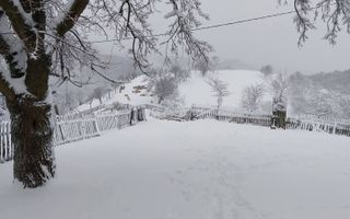 Proprietate cu 60000 mp pamant la pret de apartament - Poză 16