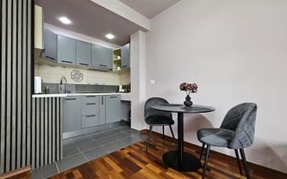 Apart 1 camera Piata Balcescu etaj 3 - Poză 9