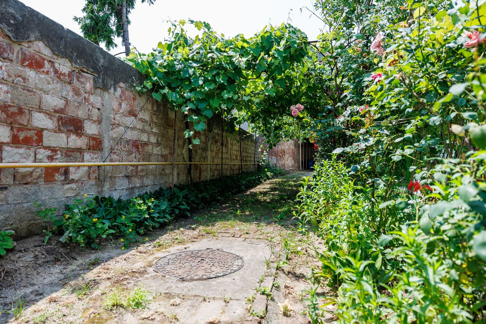 FOISORUL DE FOC | Teren 259mp cu casa veche 9 min metrou Iancului - Poză 5