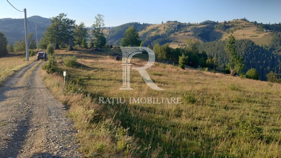 Teren Intravilan | 3.000 mp | Gârda de Sus | Alba | - Poză 4