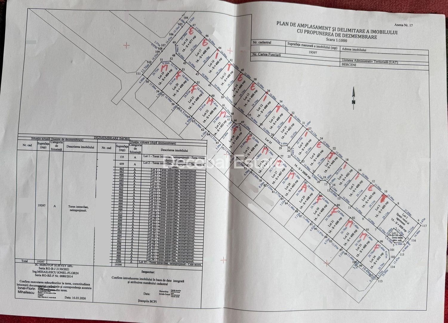 Teren 19397mp Dezmembrat in Loturi - Str. Primăverii Comuna Berceni - Poză 3