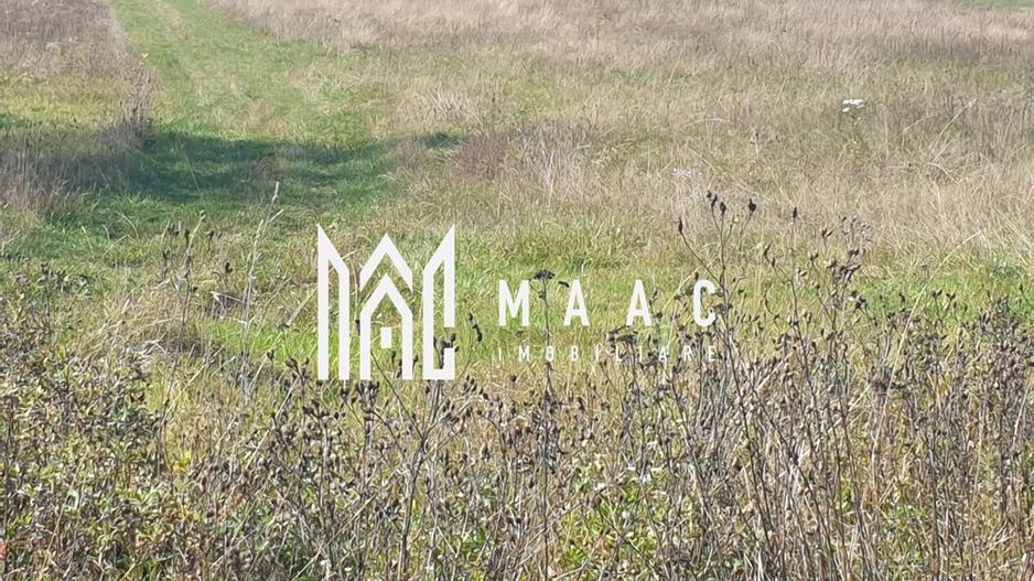 Teren Intravilan | 3.900 Mp Talmaciu | - Poză 1