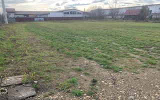 TEREN DE INCHIRIAT /MARGINEA 2000 mp - Poză 4