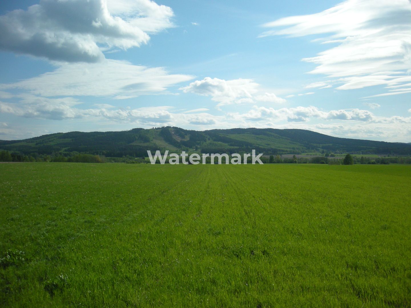 Teren cu PUZ de vanzare in Faget! - Poză 2