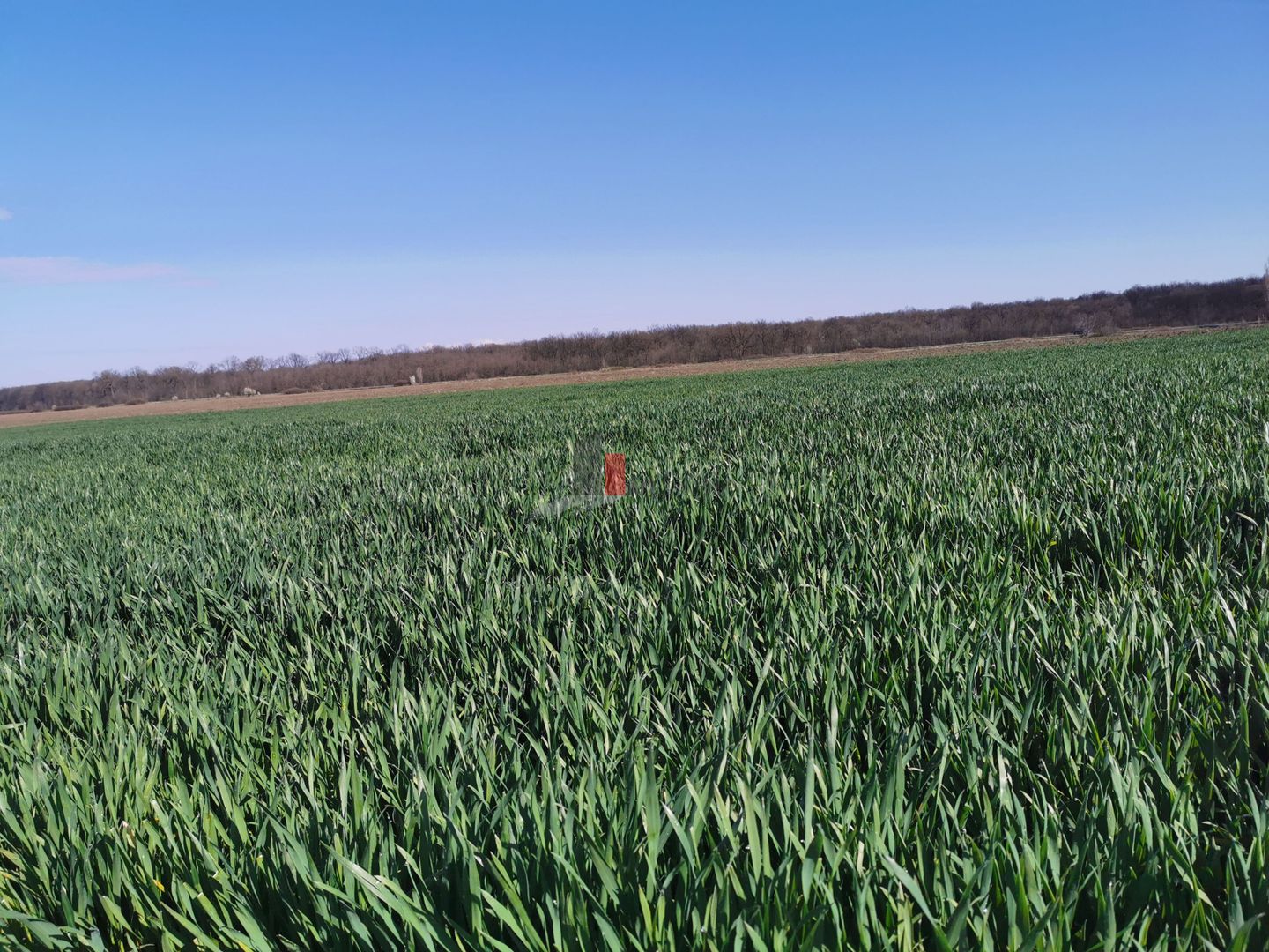 6,9 ha mp | 25 euro/mp |  in spate la Jumbo. - Poză 1