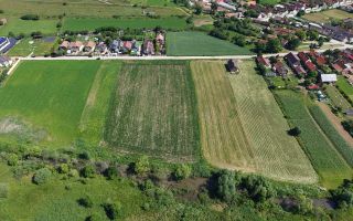Teren intravilan 10.000 mp, Rotbav (Feldioara) - Poză 9