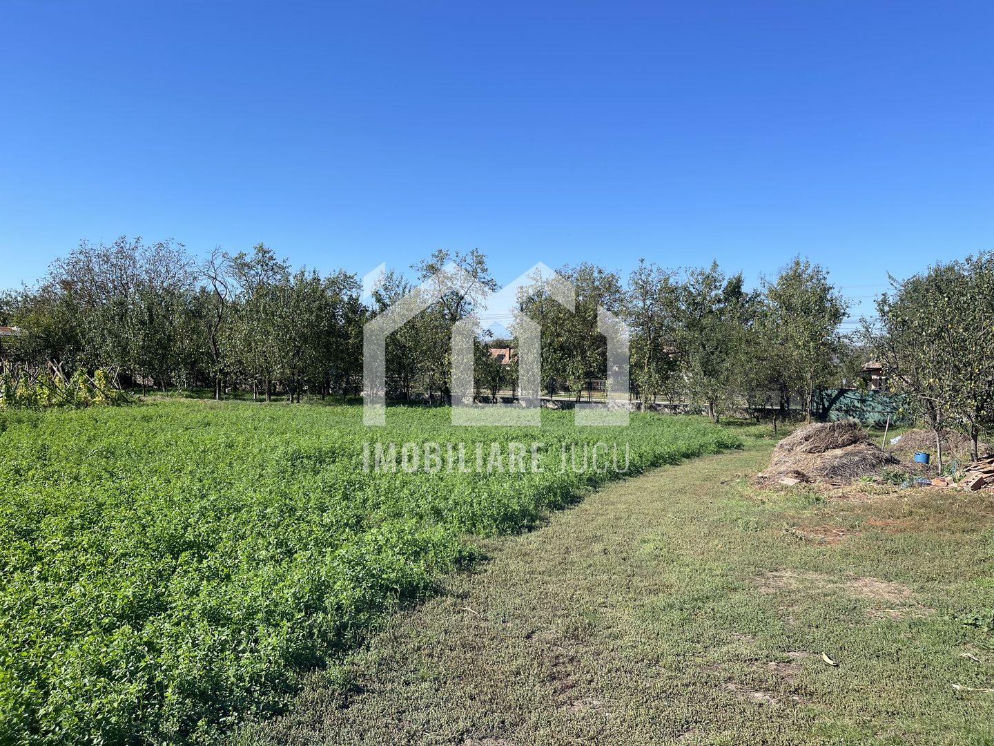 Teren Intravilan 1000mp - Jucu de Sus - Poză 2