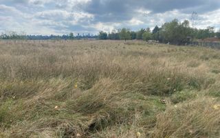 TEREN INTRAVILAN 5000 MP, GRUI, CAMPULUNG - Poză 3