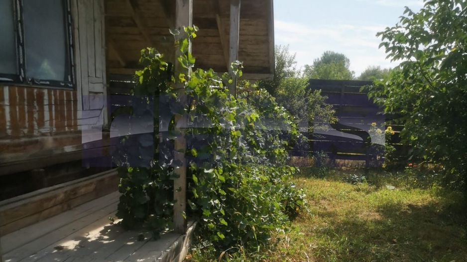 VANZARE CASA LEMN I 4 CAMERE I OCAZIE I STRADA PARAULUI I MAGURELE - Poză 4