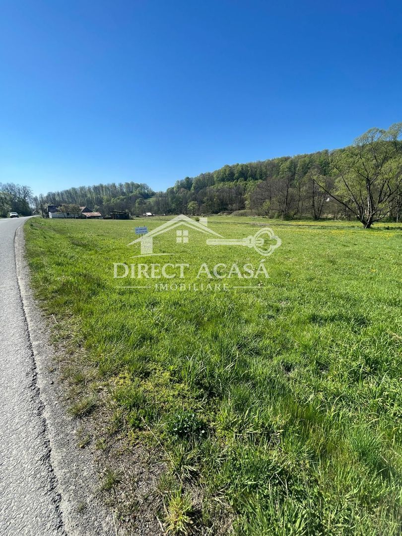 Teren intravilan 8900 mp-Sacadat-Sovata - Poză 4