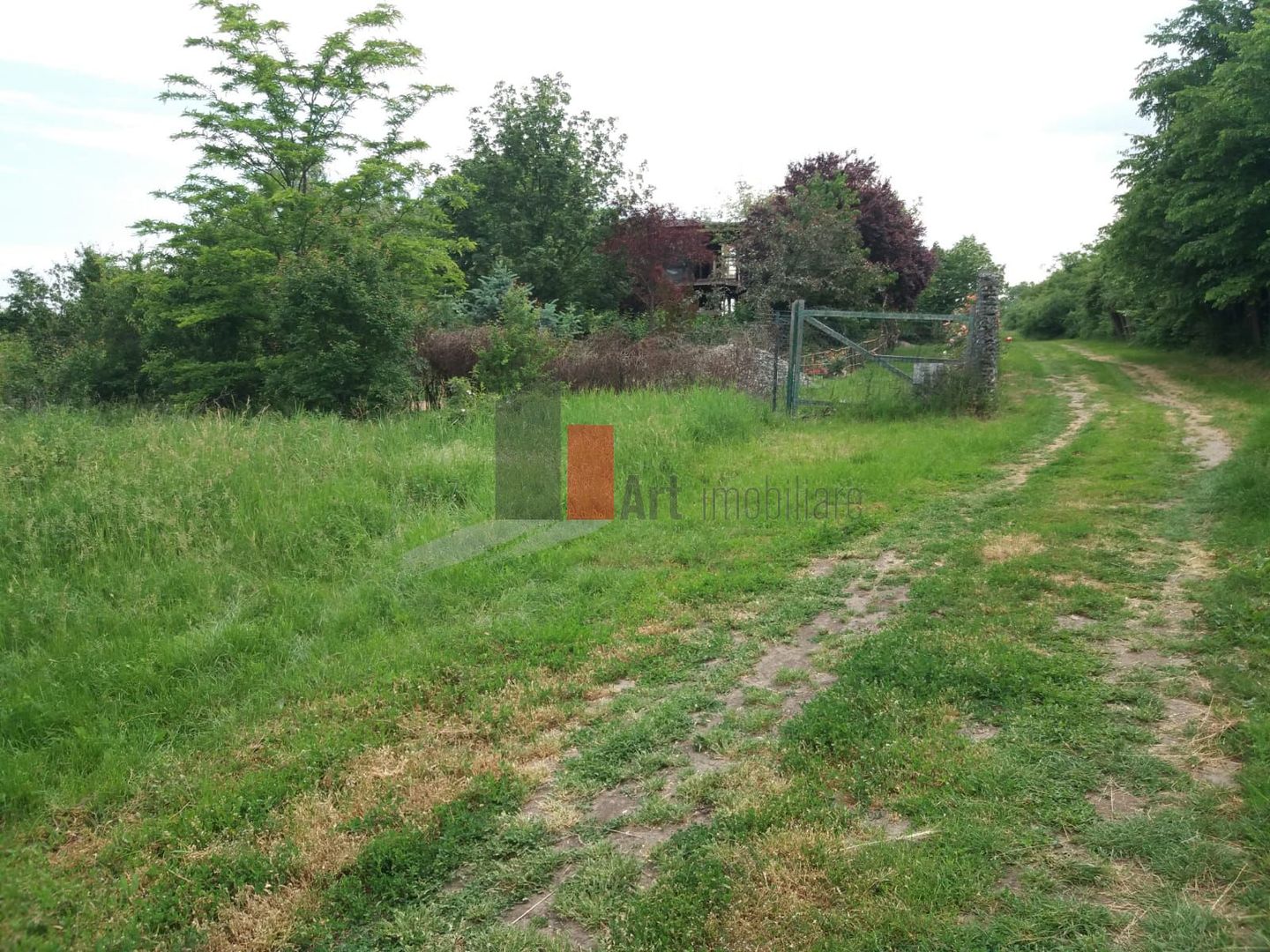 Teren cu iesire la lac - Poză 4