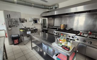 Spațiu Comercial de Vânzare în Domenii – 14 Camere, 351 mp Teren - Poză 1