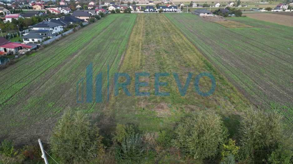 Teren intravilan Bogdan Vodă - Poză 5