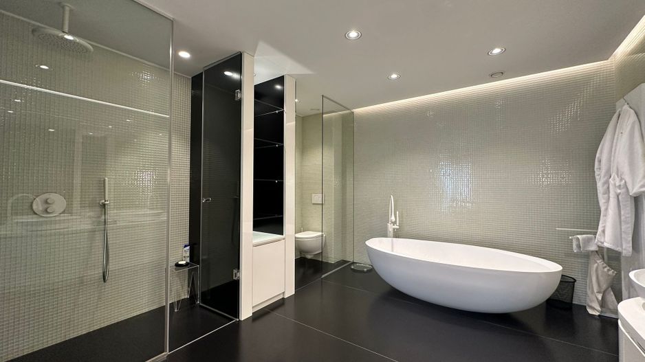 Penthouse Herastrau I Zona de Nord - Poză 16