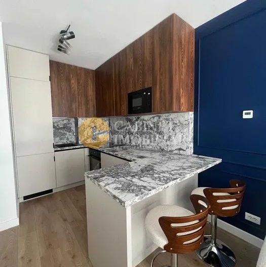 Chirie - 2 camere - Podu Ros - INTERMEDIAR - Poză 5