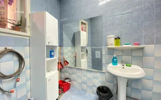 Casa individuala + atelier auto - Str. Litovoi Voda, Sibiu - Poză 15