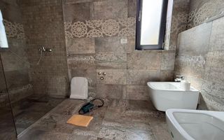 Duplex pe parter Mosnita Veche - Poză 9