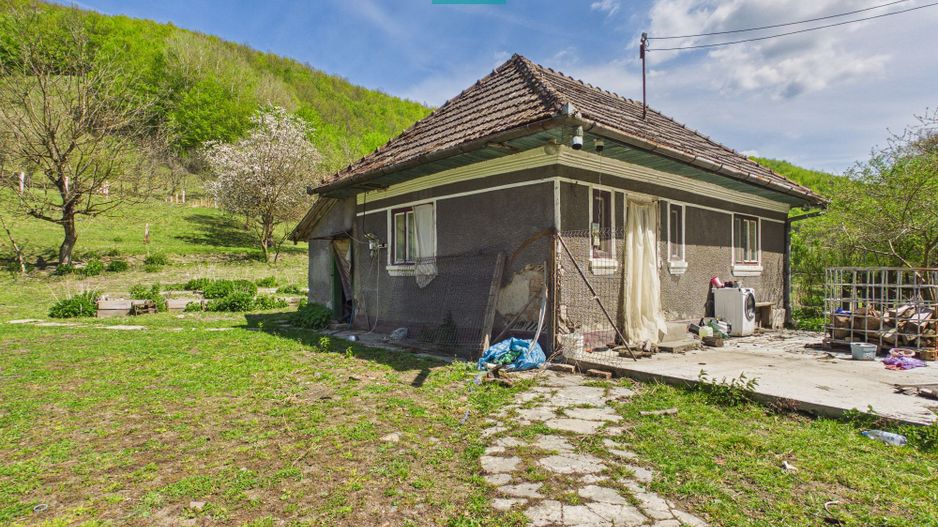 Teren  pentru investiții  în Luncoiu de Jos - Poză 1