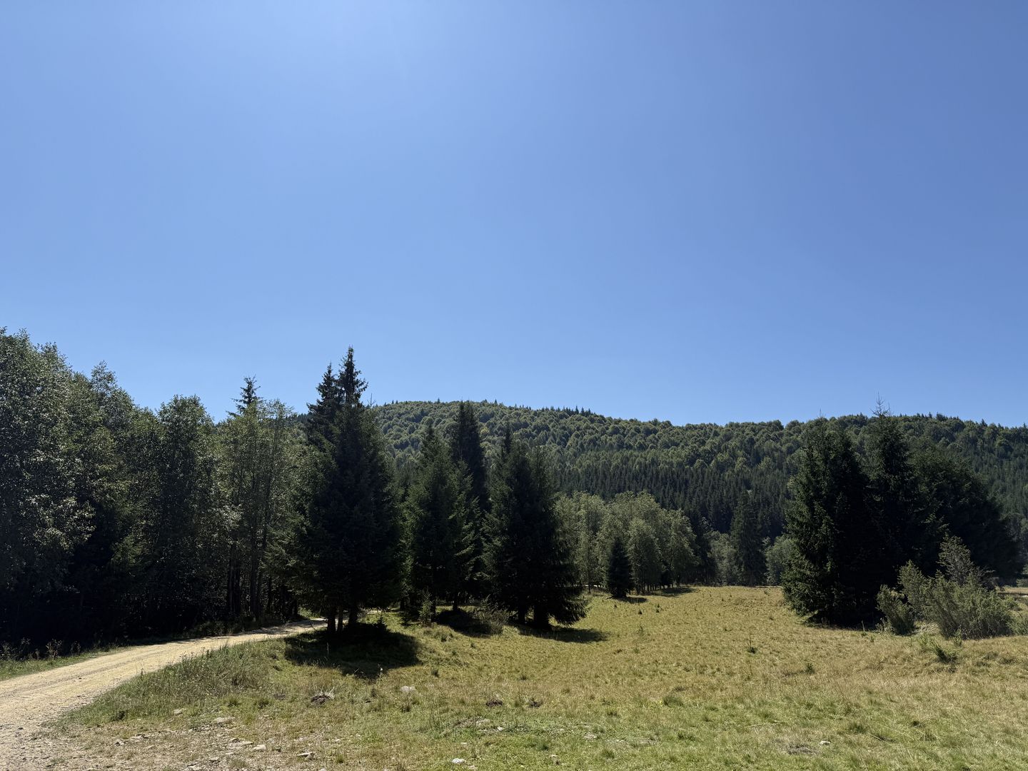 SUPER OCAZIE  - Teren intravilan, COMANDAU-PUZ case de vacanta. - Poză 8