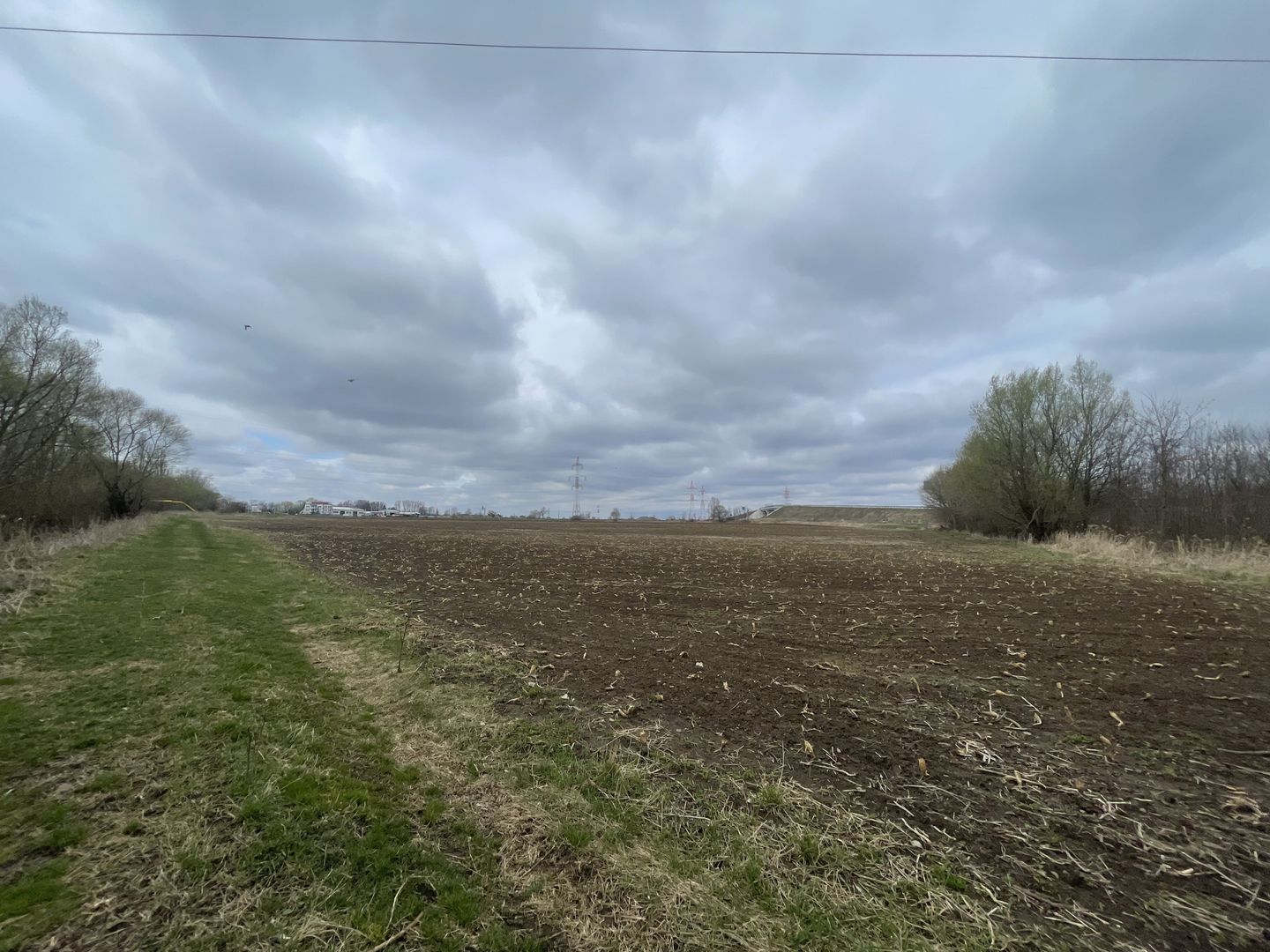 TEREN INTRAVILAN | 50 ARI | ZONA PERIFERICA RADAUTI - Poză 4