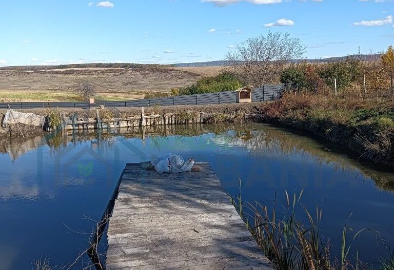 2 iazuri de vanzare - Poză 3