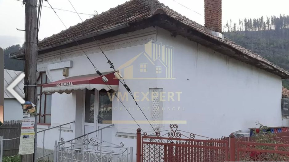 CASA 2 CAMERE, TEREN 161 MP, LERESTI, ARGES - Poză 3