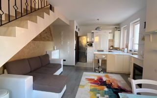 Cochet la intrare in Dumbravita - Poză 15