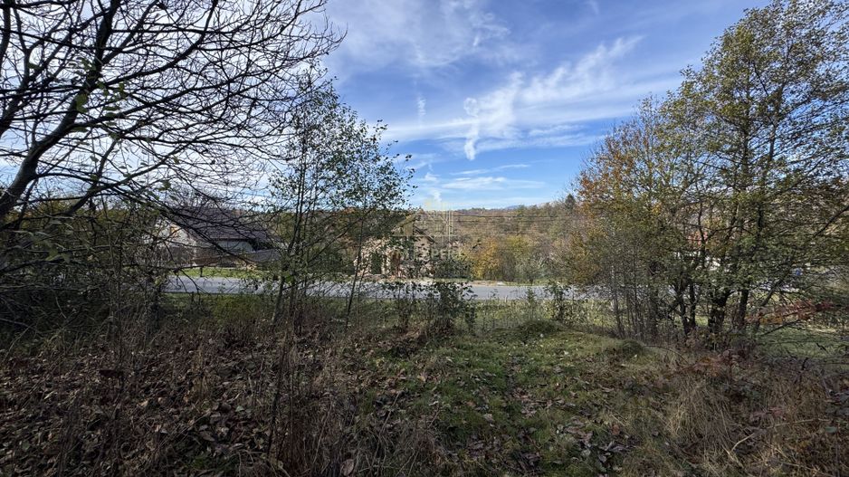 TEREN INTRAVILAN 13167 MP BUGHEA DE SUS ARGES - Poză 12