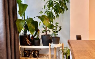 Apartament 3 camere, strada Turda 129 - Poză 6
