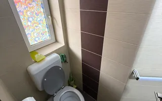 Casa/vila P+E+M, individuala ,730 mp teren-Timișul de jos - Poză 30