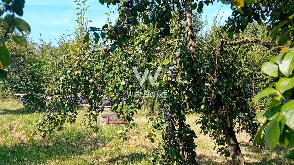 974 mp de vis, între pădure și cer - Teren intravilan, Cisnadioara, Sibiu - Poză 8