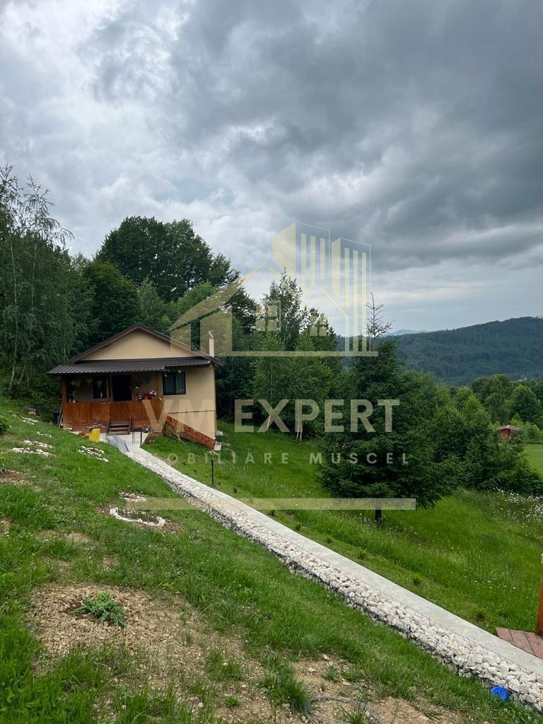 CASA 3 CAMERE, TEREN 3100 MP, ALBESTI DE MUSCEL, ARGES - Poză 6