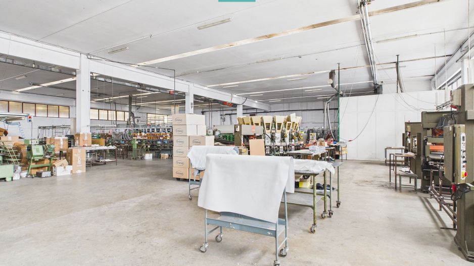 Hală de producție, cu birouri și teren, în Sebiș - Poză 67