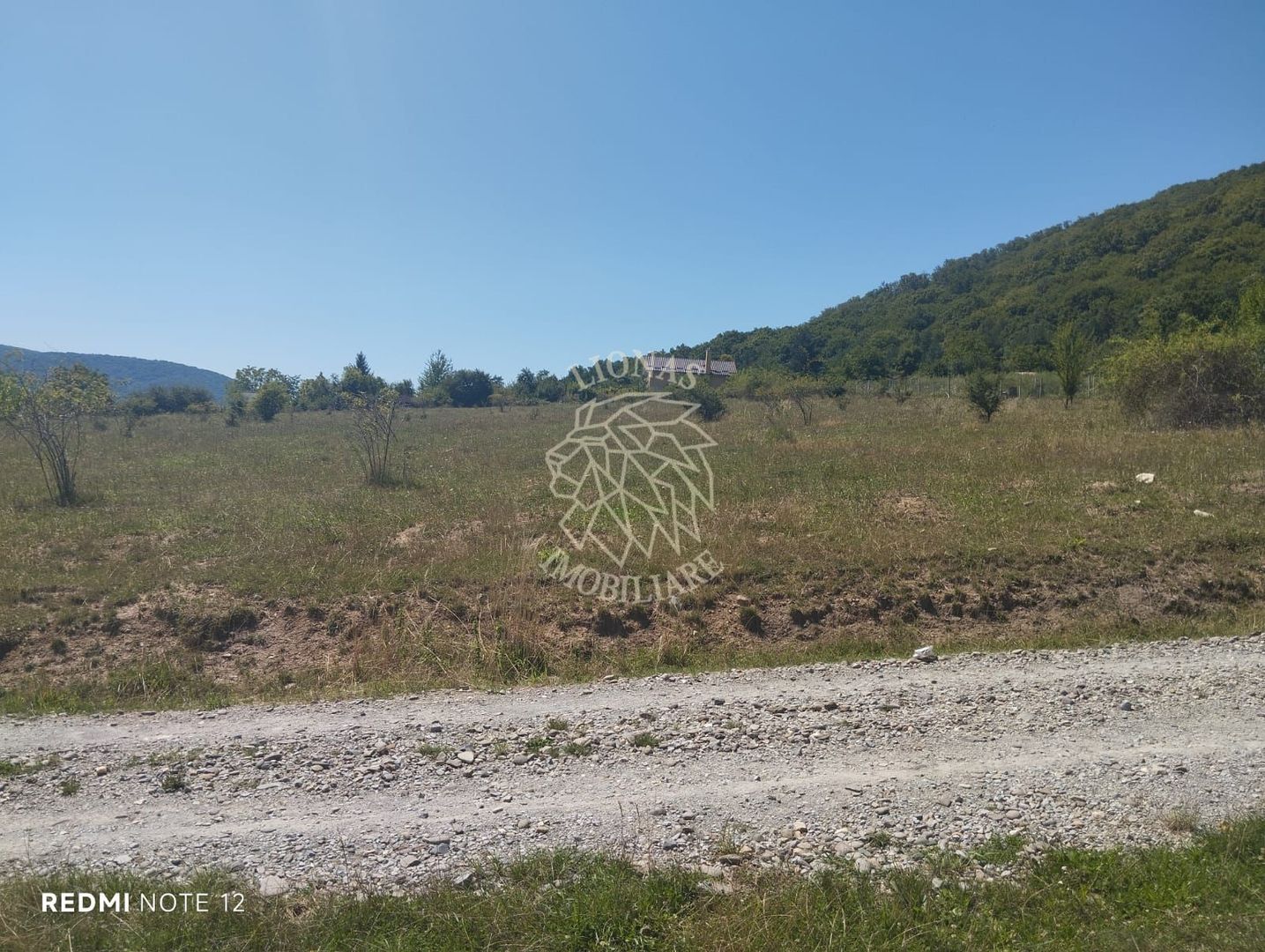 Teren intravilan 2900 mp cu utilitati-Zona MOL Viisoara - Poză 2