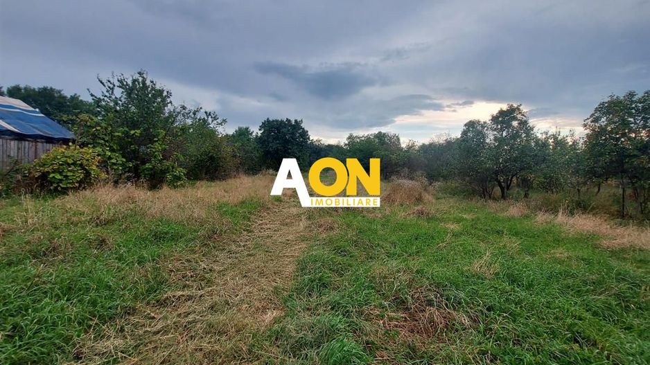 Casa Ciugud Toate Utilitatile cu Teren 3000MP - Poză 4