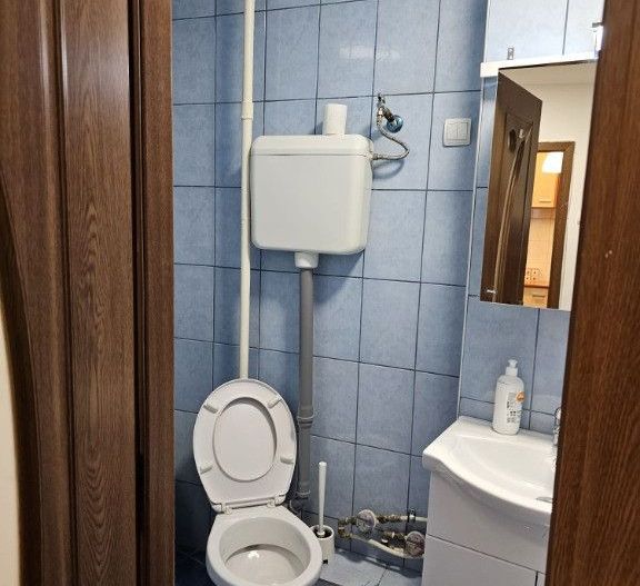 inchiriez apartament 1 camera Doamna Ghica - Poză 14