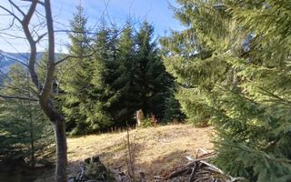 Teren de vânzare în zona montană a județului Alba - Poză 7