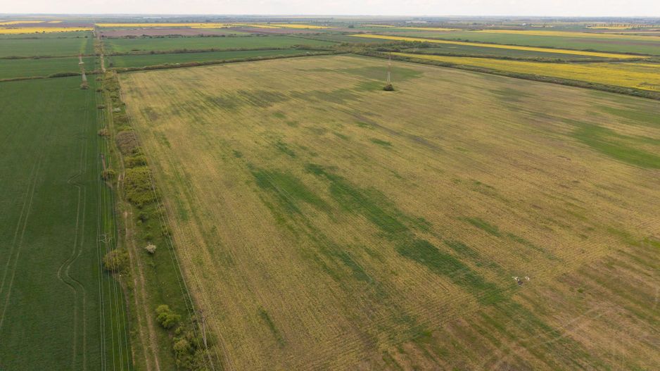 Teren investițional strategic 44.700 mp Arad Vest - Poză 13